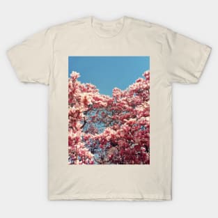 magnolia cluster blossoms T-Shirt